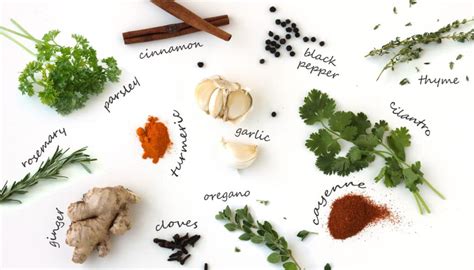 Healing Herbs And Spices 12 Common Herbs And Spices By Jesselwellness Jesse Lane Wellness