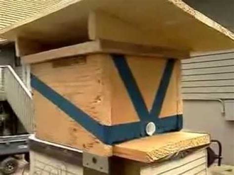 bumblebee nest box youtube