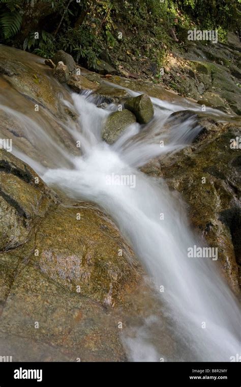 Waterfall at Commonwealth Forest Park, Rawang, Malaysia Stock Photo - Alamy