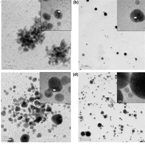 TEM Image And Energy Dispersive X Ray EDS Mapping Of Bimetallic Pt Au