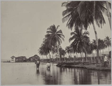 Uncovering Caribbean History Art Gallery Of Ontario