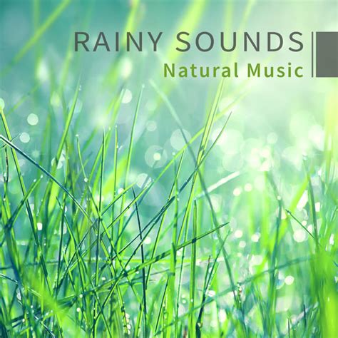 Rainy Sounds – Natural Music: Meditation & Relaxation, Yoga, Spa ...