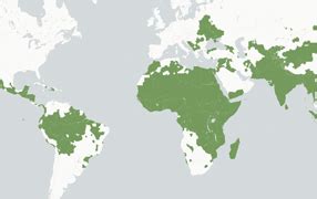 Wad World Atlas Of Desertification