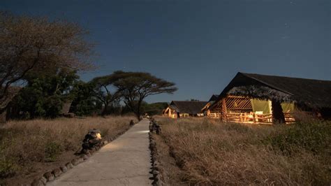 7 Day Kenya Safari Best Of Kenya Adventure—masai Mara Plus