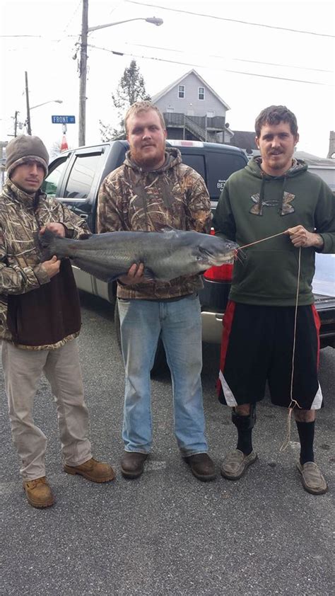 Blue Catfish Qualify For Delaware State Records Delaware Surf