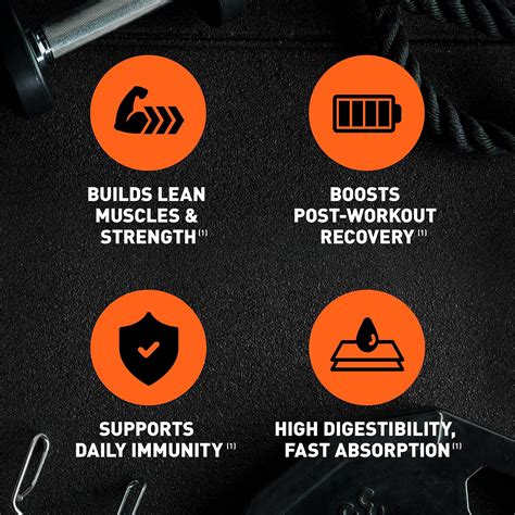 Snapklik.com : Body Fortress Super Advanced Whey Protein Powder