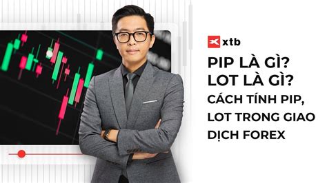 T P Pip Forex L G Lot L G T Nh Pip Trong Giao D Ch Cfd Forex