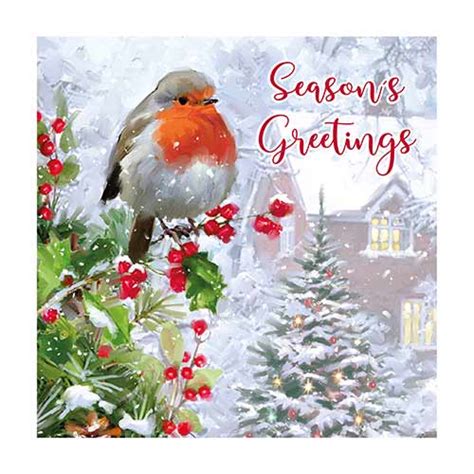 Traditional Robin Christmas Cards Pack Of 12 Partyrama