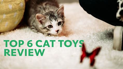 Kitten Toys | The Best Kitten Toys for Active Kittens