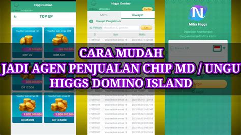 CARA MENDAFTAR MENJADI AGEN PENJUALAN RESMI CHIP MD UNGU DOMINO HIGGS