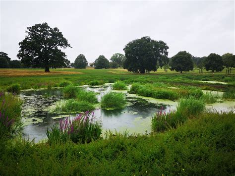 Urban Wetland Design Guide - CaBA