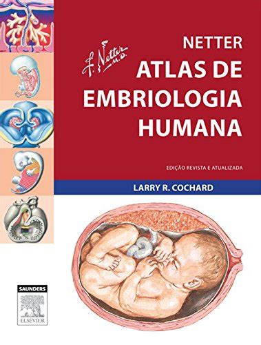 Netter Atlas de Embriologia Humana Edição Revista e Atualizada eBook