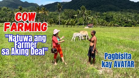 Cow Farming Natuwa Ang Farmer Sa Aking Deal Pagbisita Kay Avatar