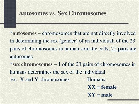 Chromosomes As A Eukaryotic Cell Prepares To Divide The Dna Ppt Download