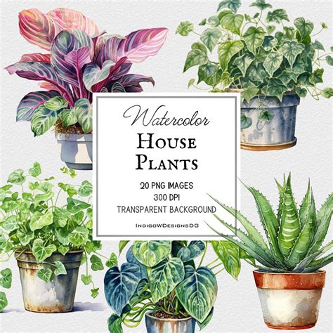 Watercolor House Plants Clip Art Set 1 Png Potted Plants Greenery Clip Art Scrapbook