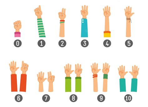 Premium Vector Vector Illustration Of Counting Hand