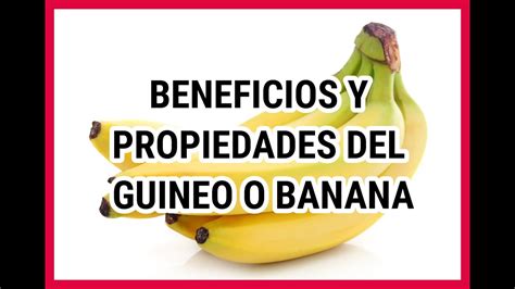 Sabias Estos Beneficios Y Propiedades Del Guineo O Banana Para La Salud Youtube