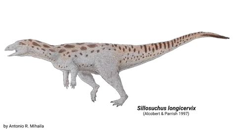 Sillosuchus longicervix by RaresAnimals on DeviantArt