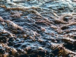 Oil Spill In Jamaica Marine Incidents GCaptain Forum