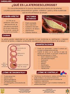 Divulgaci N Cient Fica Ug Qu Es La Aterosclerosis