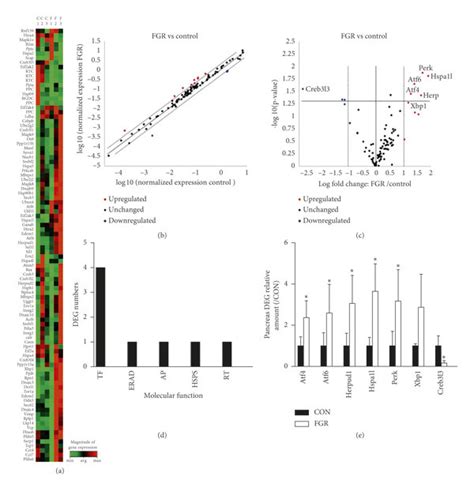 Expression Of Unfolded Protein Response Upr Related Factors In The