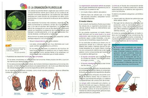 realizar una lectura de la página 29 y 30 y responder las preguntas