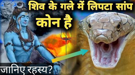 Shiv~शिव जी के गले में लिपटा सांप कोन है। जानकर चौंक जाएंगे।motivation महाकाल Youtube