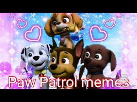 Paw Patrol Meme (compilation)