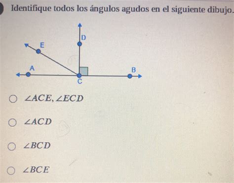 Solved Identifique Todos Los Ngulos Agudos En El Siguiente Dibujo