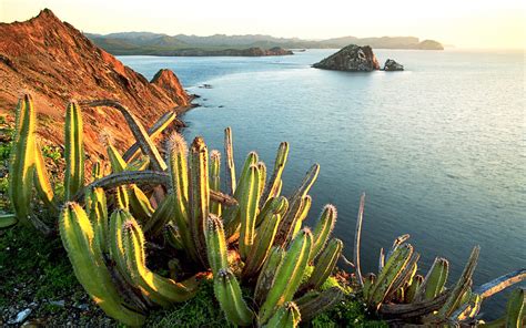 México y la fuerza de su biodiversidad Revistas Culiacán