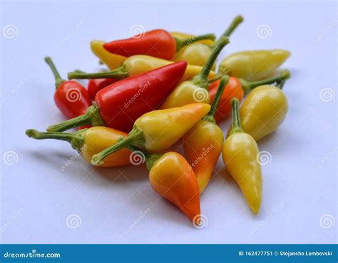 The Yellow Red And Orange Hot Chili Peppers Stock Image Image Of Plant Small 162477751