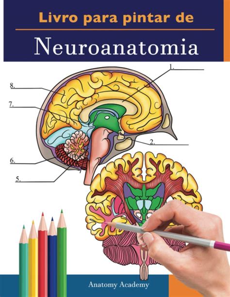 Buy Livro Para Pintar De Neuroanatomia Livro Para Colorir Muito