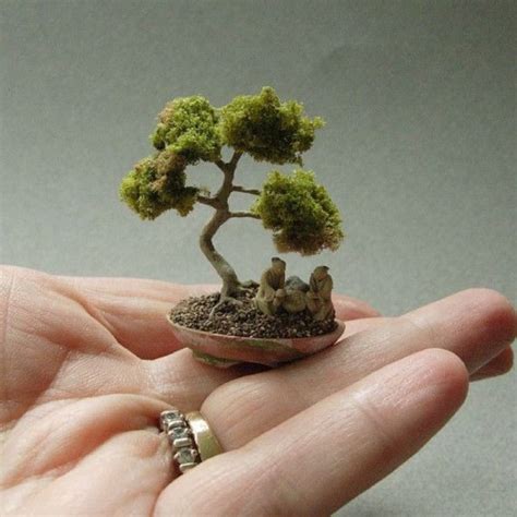 You Re Sure To Feel Zen After You See These Stunning Bonsai Bonsai