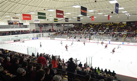 Brown University Bears - College Hockey, Inc.