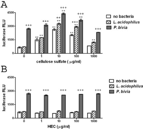 Compound Induced NF B Activation After 24 H Of Bacterial