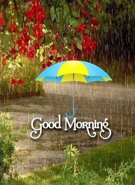 rainy good morning images gm wishes  beautiful rainfall