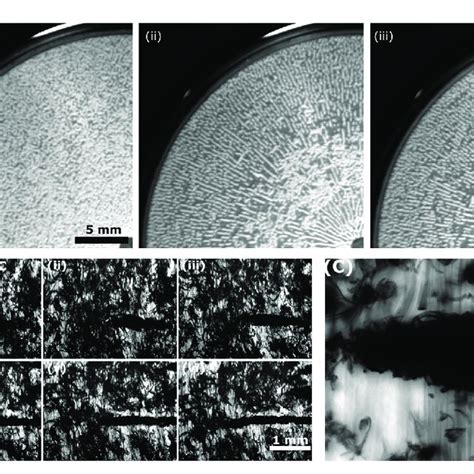 Shear Induced Vorticity Aligned Floc Formation Across Scales A Using