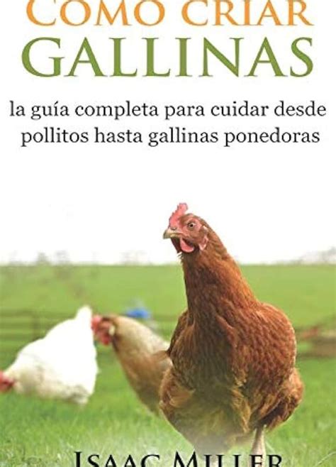 Guía Completa Sobre La Reproducción De Gallinas Pasos Cuidados Y