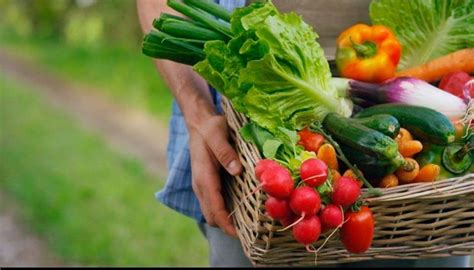 Calano Le Aziende Agricole In Svizzera