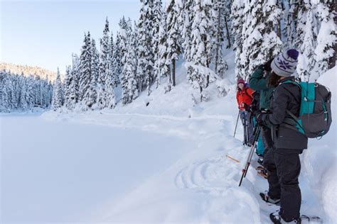 Whistler Backcountry Snowshoeing Tour With Guide GetYourGuide