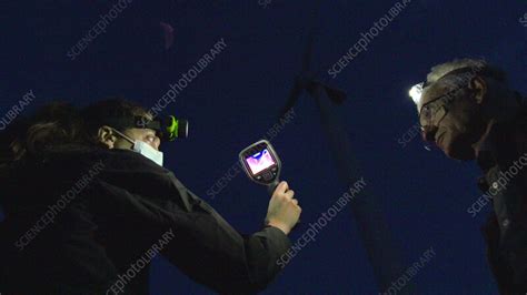 Scientists Observing Bats Near Wind Turbines With A Thermal Imaging