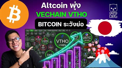 ข่าวคริปโต Altcoin พุ่ง 100 หลัง Bitcoin มีโอกาสพักตัว Youtube