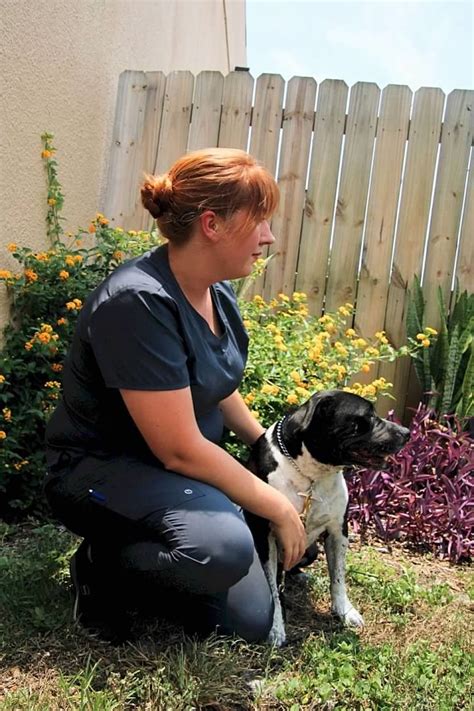 Veterinarians And Team In Jacksonville