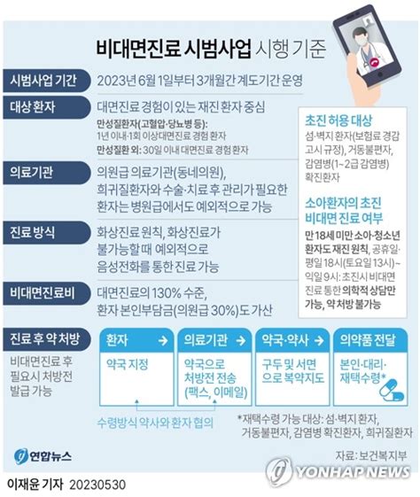 그래픽 비대면진료 시범사업 시행 기준 연합뉴스