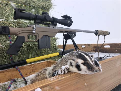 Chassis Options For Ruger M77 Hawkeye Long Range Hunting Forum