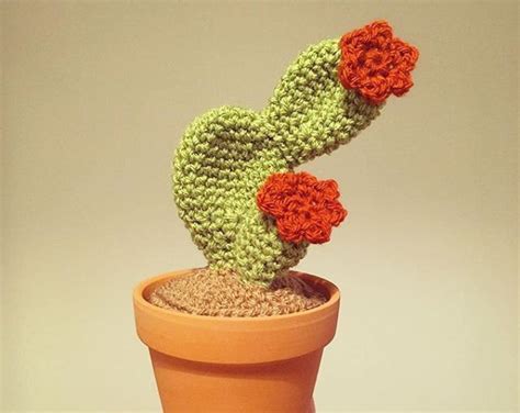 Desert Cactus Crochet Pattern Mexican Cactus Crochet Pattern Plant In