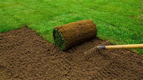 How To Tell If Your Lawn Has Compacted Soil Gosselin Homes