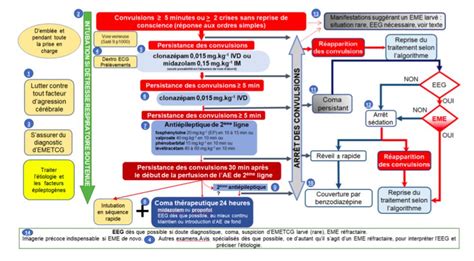 RousseauMD on Twitter État de mal épileptique reco 2018 https t