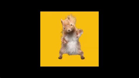 I Let Capcut Edit The Dancing Squirrel Memeheres How It Turned Out