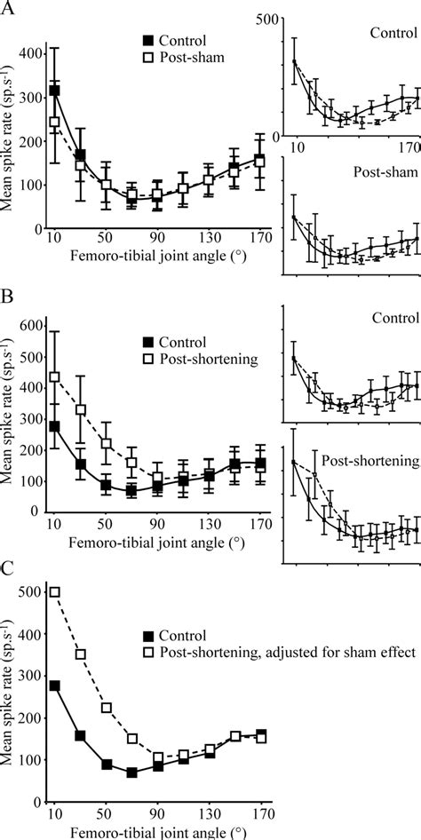 Functional Recovery Of Aimed Scratching Movements After A Graded